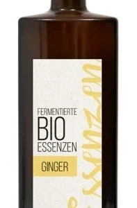 Esenta de ghimbir fermentata bio 500ml Retter
